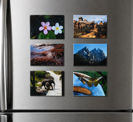 Photo Magnets